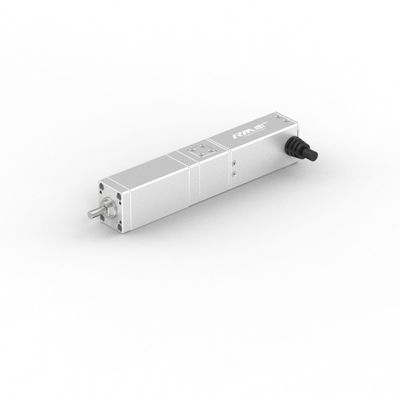 RobustMotion RM-SLA Series High Precision Straight Electric Linear Actuator dengan Servo Motor, 50/100mm Stroke, IP40