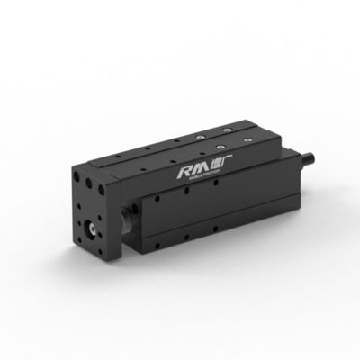 RM-NPLA Linear Servo Actuators, Servo Electric Cylinder Kontrol Kekuatan yang Dapat Diandalkan, Cepat, dan Tepat