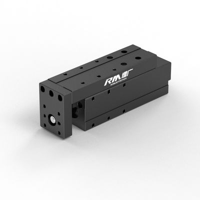 RM-NPLA Electric Linear Actuator, Micro Platform-type Linear Actuator, kecepatan tinggi dan stabil