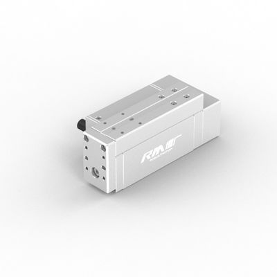RobustMotion RM-RPLA Electric Industrial Linear Actuator dengan Controller Terintegrasi, Kekuatan Maksimal 300N