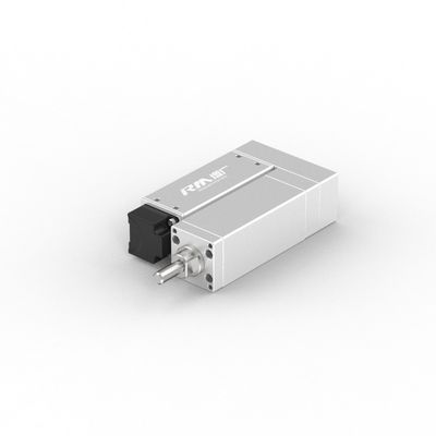 RobustMotion RM-RLA Lipat Electric Linear Actuatorf atau Memperset, Gabungan, Memperkuat atau Riveting Workpieces, Mudah Mount &amp; Low Maintenance