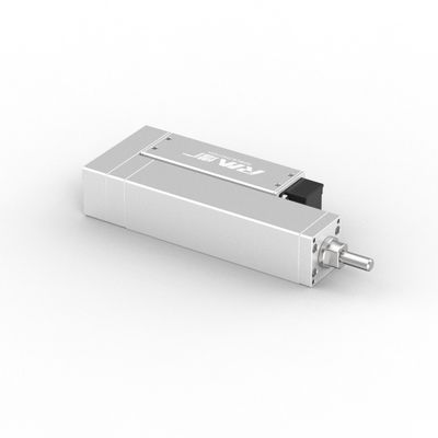 RobustMotion RM-RLA Rod jenis Aktuator Listrik, Gerak Linear Keakuratan Tinggi untuk Otomasi Industri