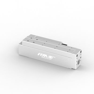 RobustMotion Single Axis Electric Linear Cylinder, Long-stroke, kecepatan tinggi, dan presisi tinggi RM-RPLA